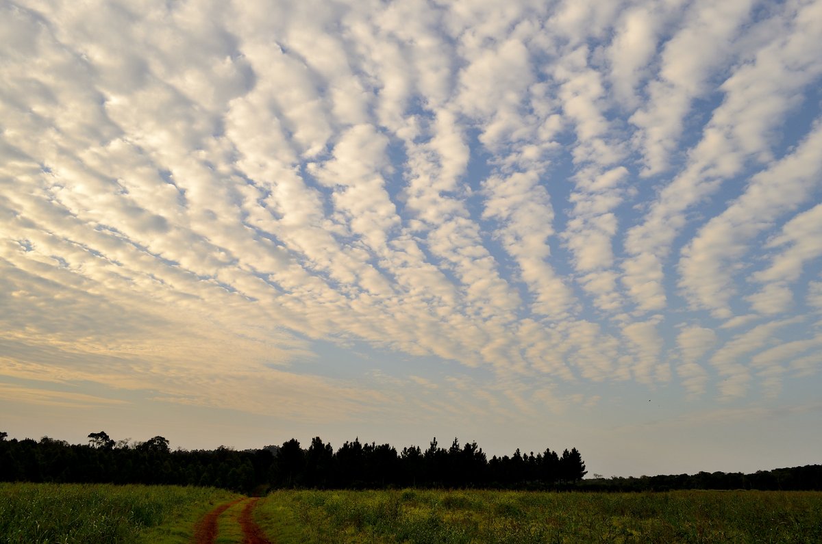 Перистые, перисто-Слоистые, перисто-Кучевые облака
