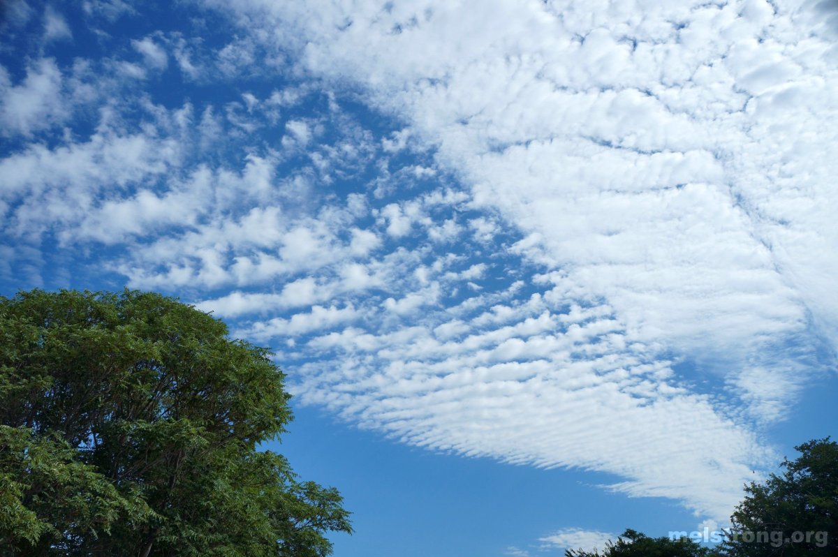 Перестокучевые облака