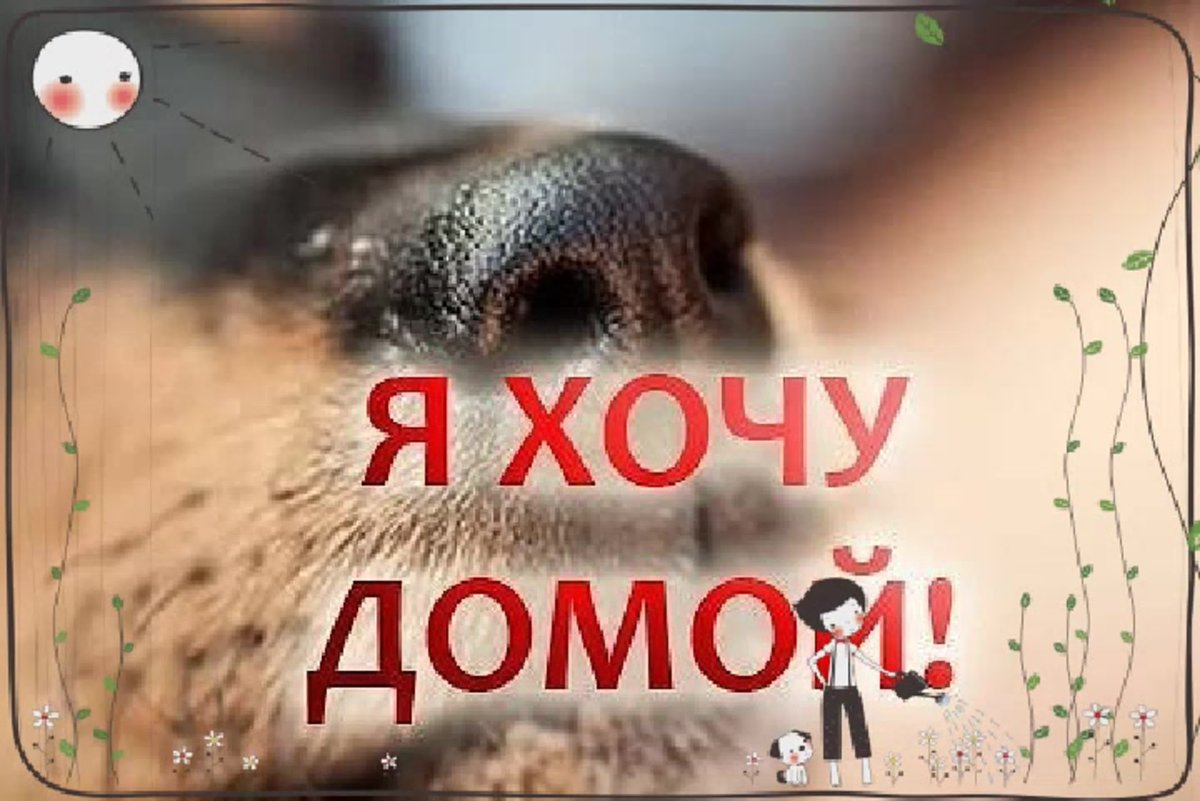 Скоро пятница