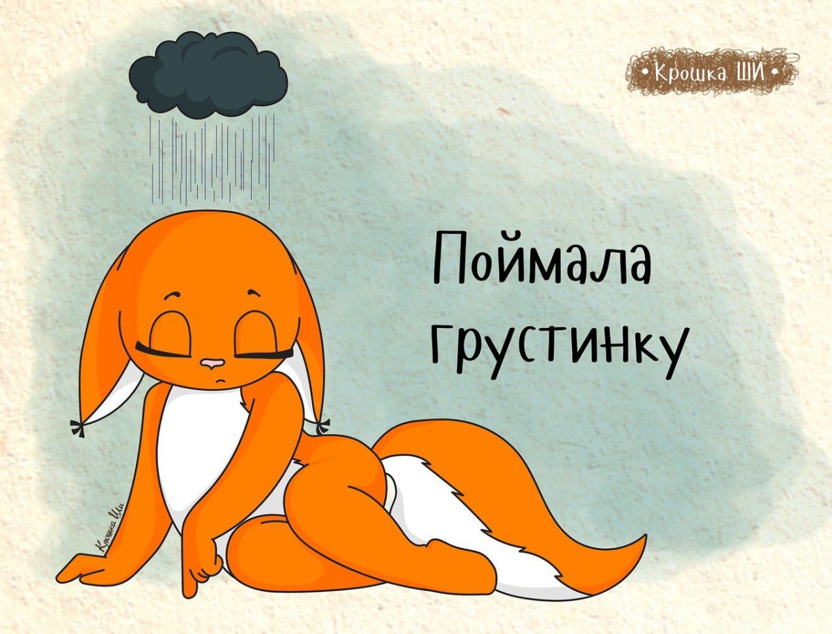 Ночной жор приколы