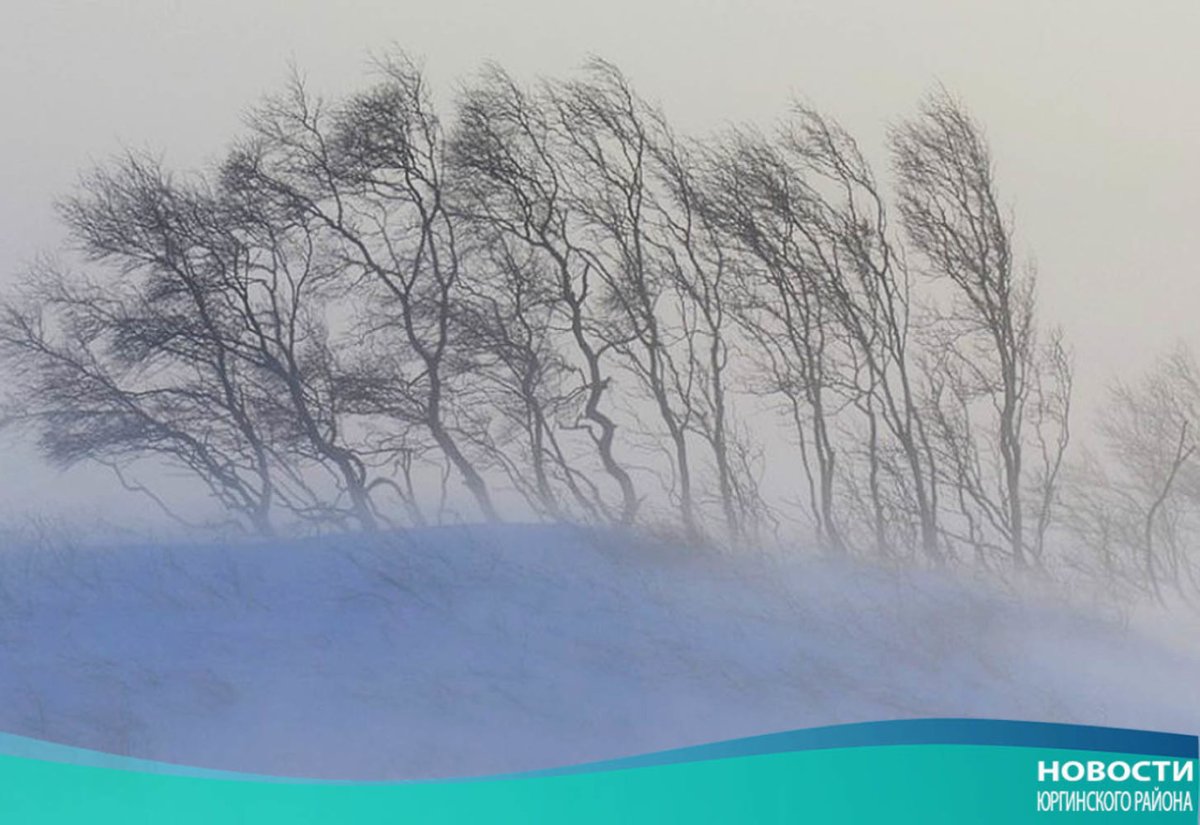 Ветер 6.5 м/с это