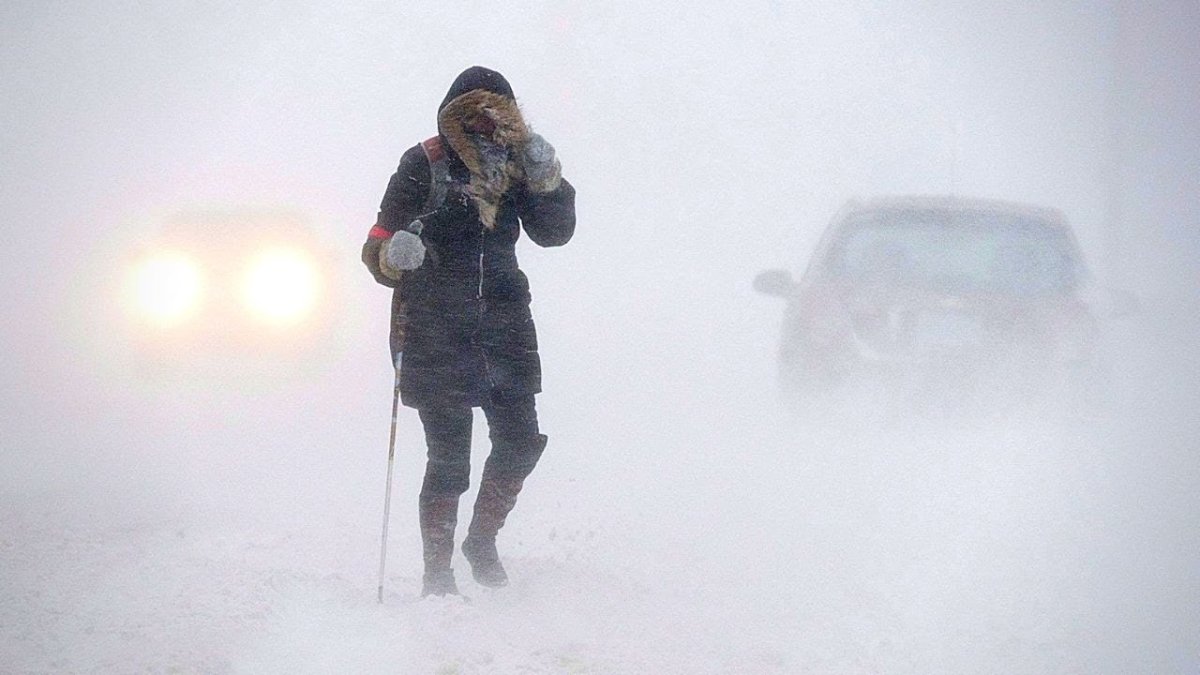 Сильная Пурга