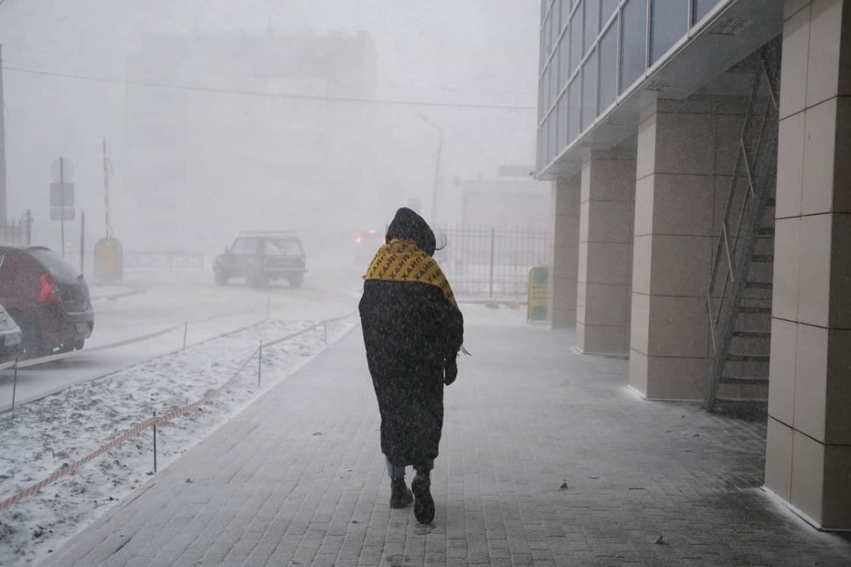 Снегопад на дороге