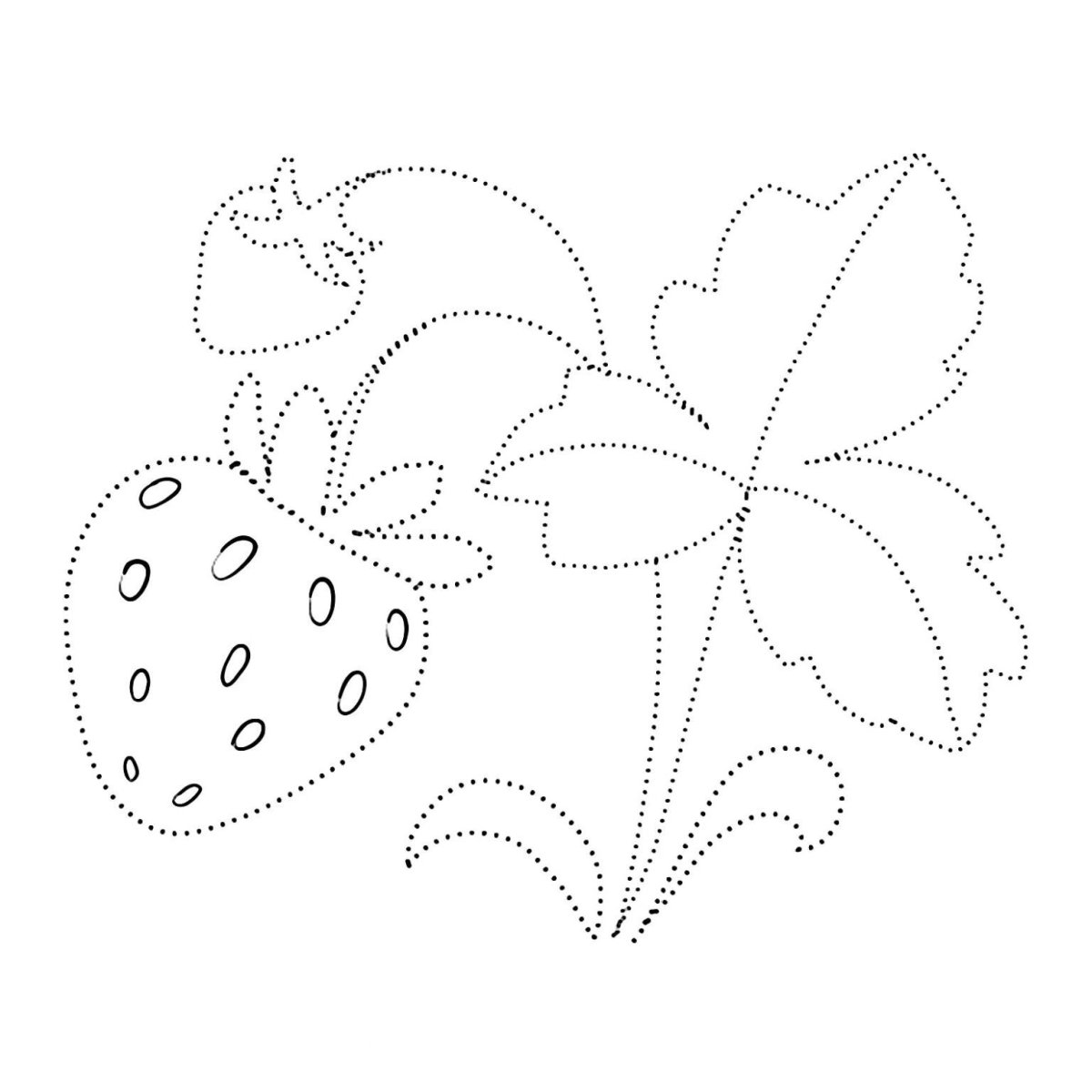 Насекомые по точкам