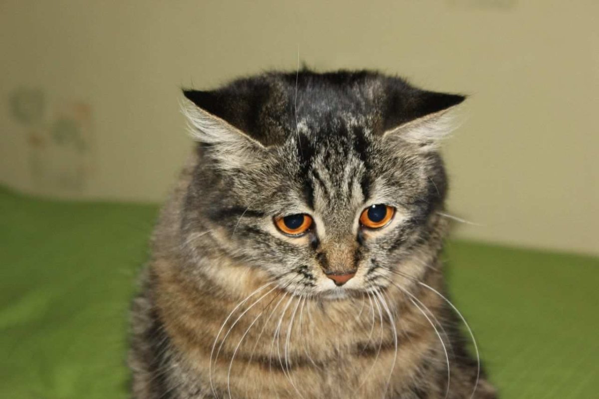 Что же с нами стало