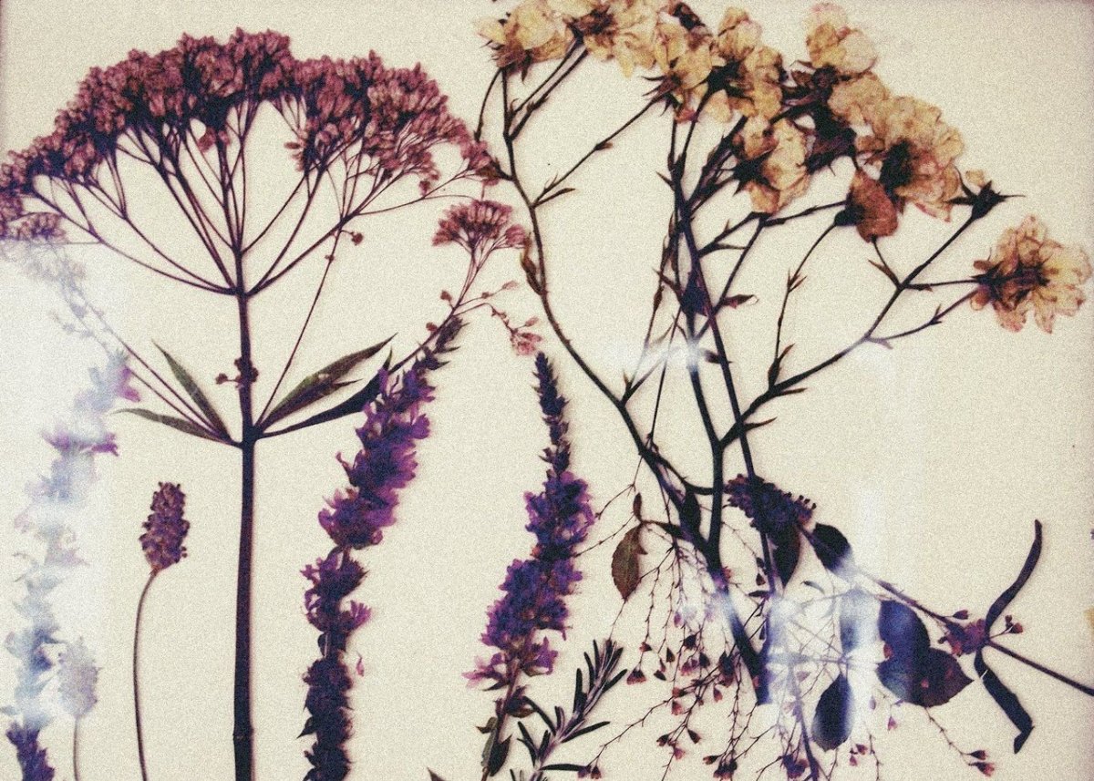 Ботанический скетчинг маркерами