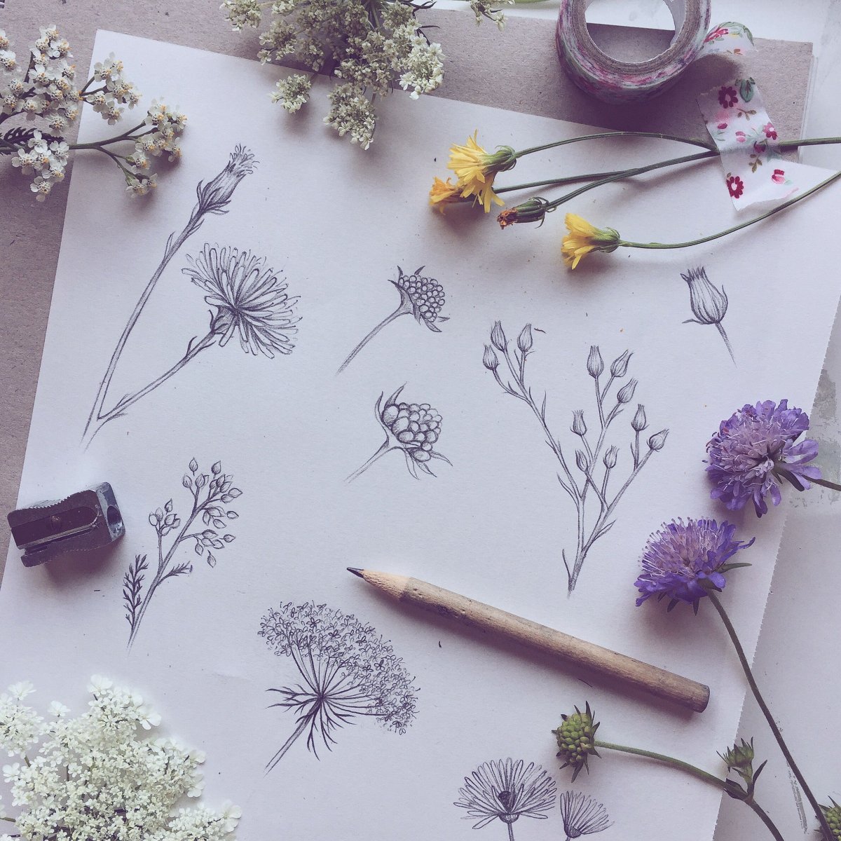 Эмма Митчелл the Wild Remedy