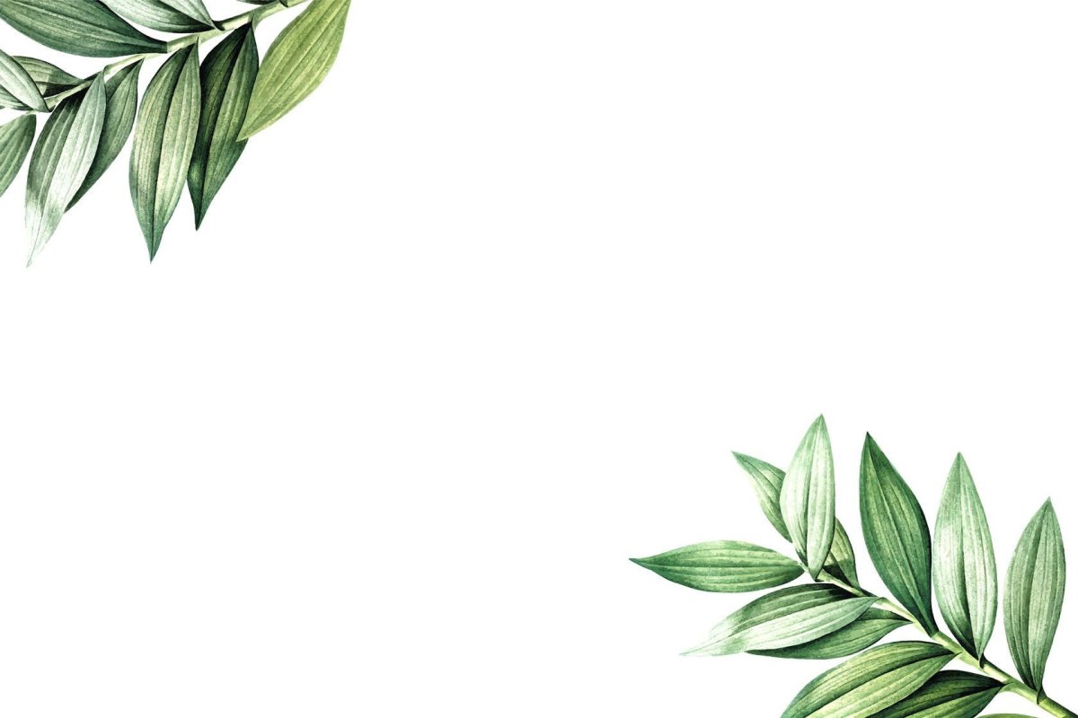 Юлия Петрова Ботаническая живопись