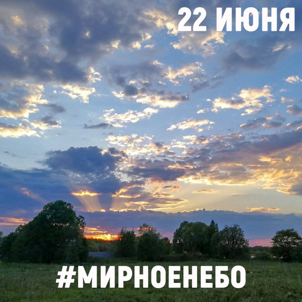 Мирного неба над головой