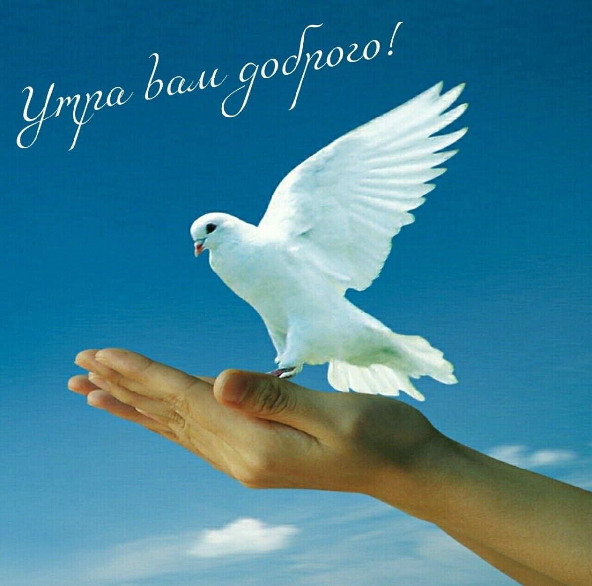 С добрым утром необычные