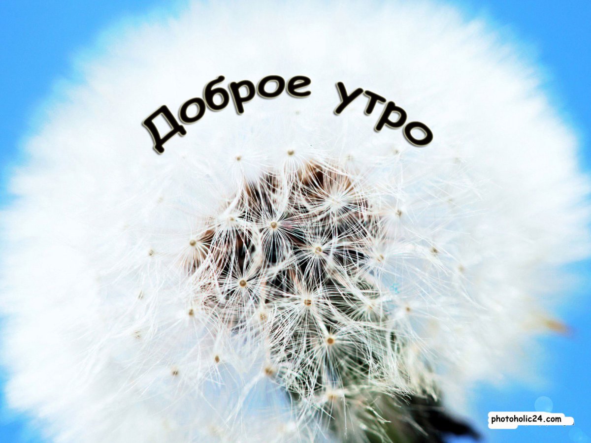 Рисунок под мирным небом