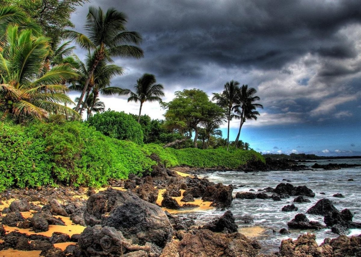 Пальмы на закате