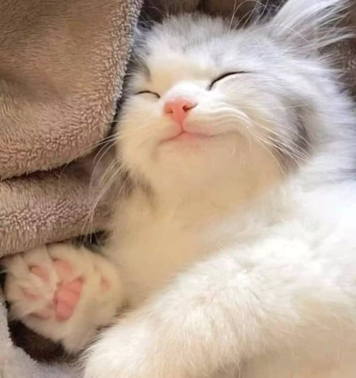 Наташка снится картинки