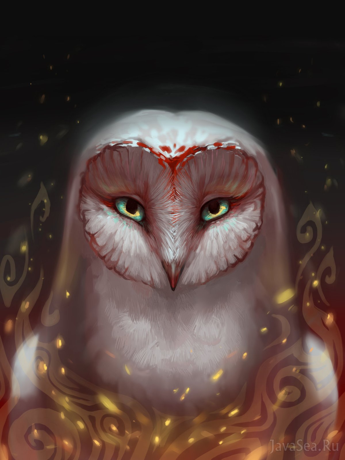 Необычные Совы