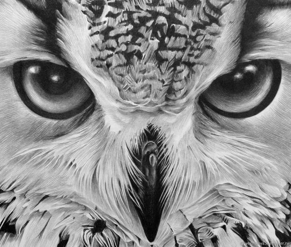 Неясыть карандашом