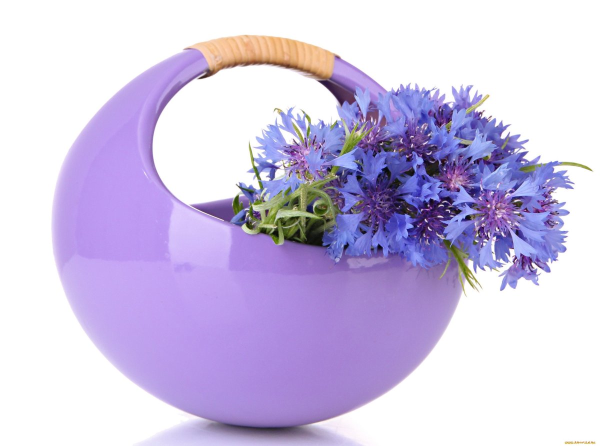 Жить просто жить