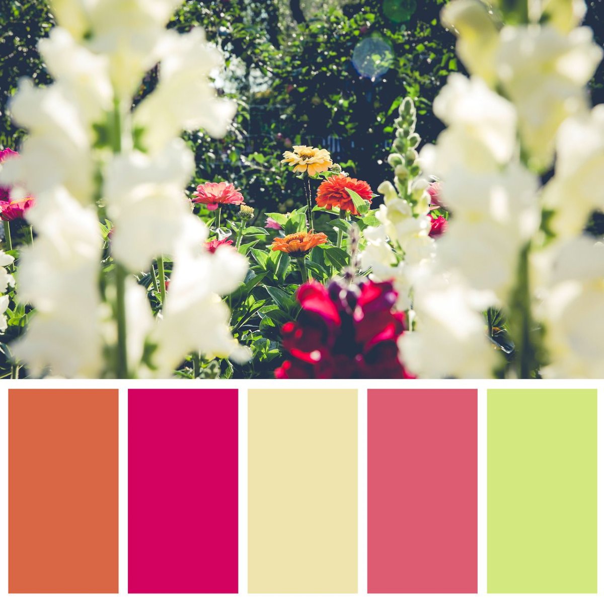 Цветовые Палитры romanuke