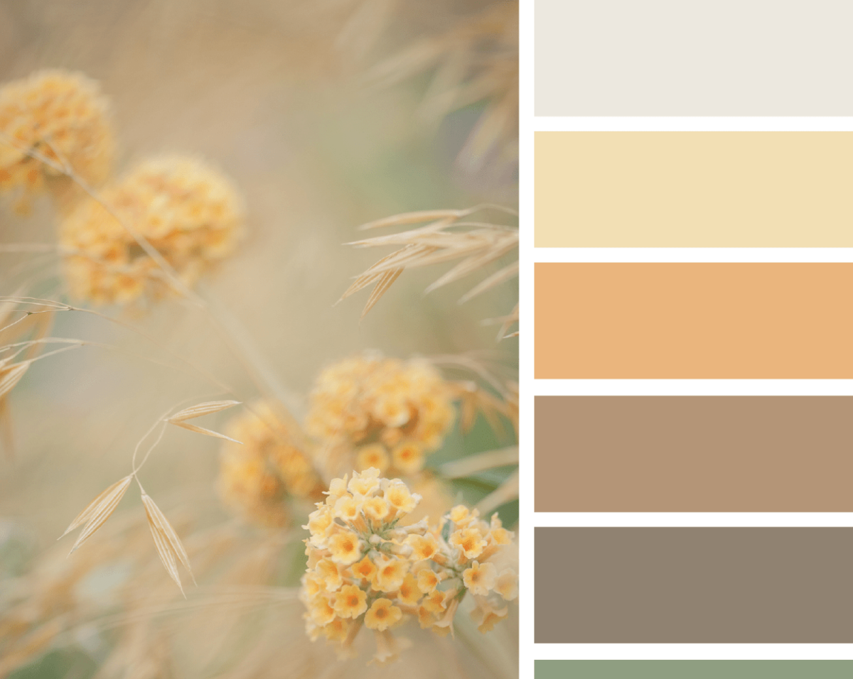 Весенняя палитра цветов