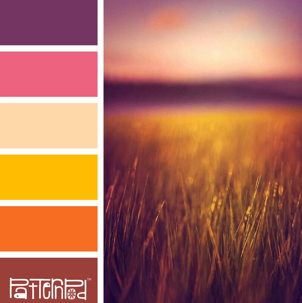 Веер цветов Тиккурила симфония