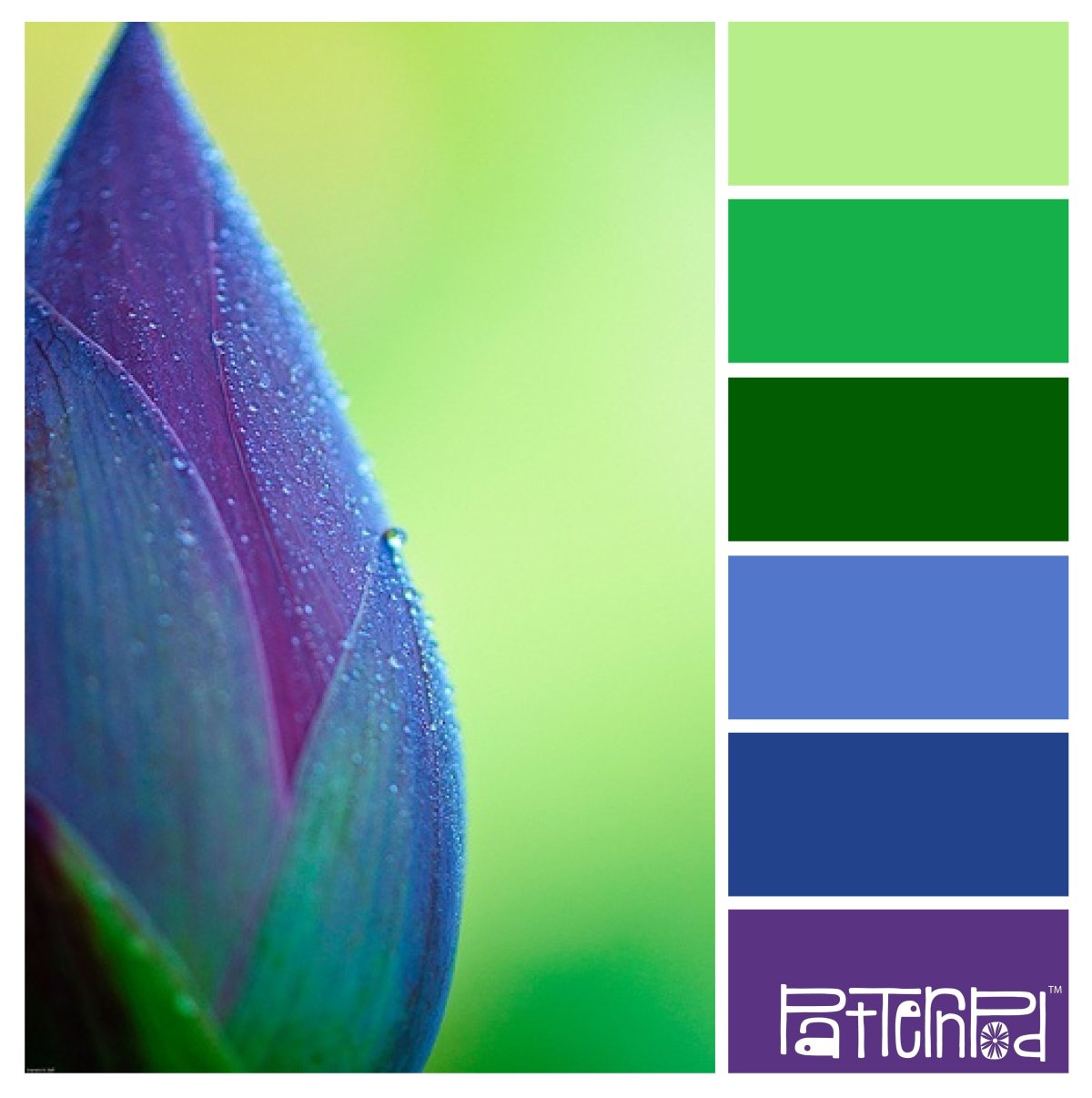 Палитра пастель 7цветов