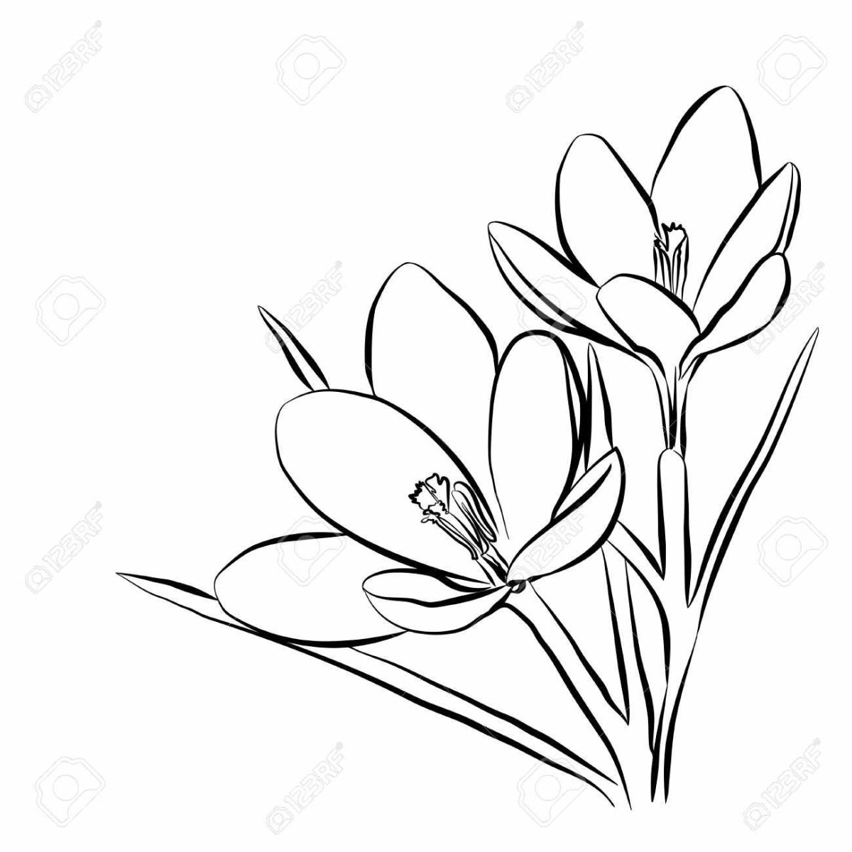 Весенние цветы трафарет