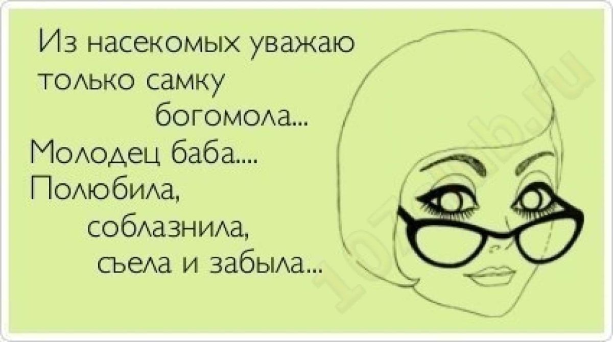 Шутки про бухгалтеров