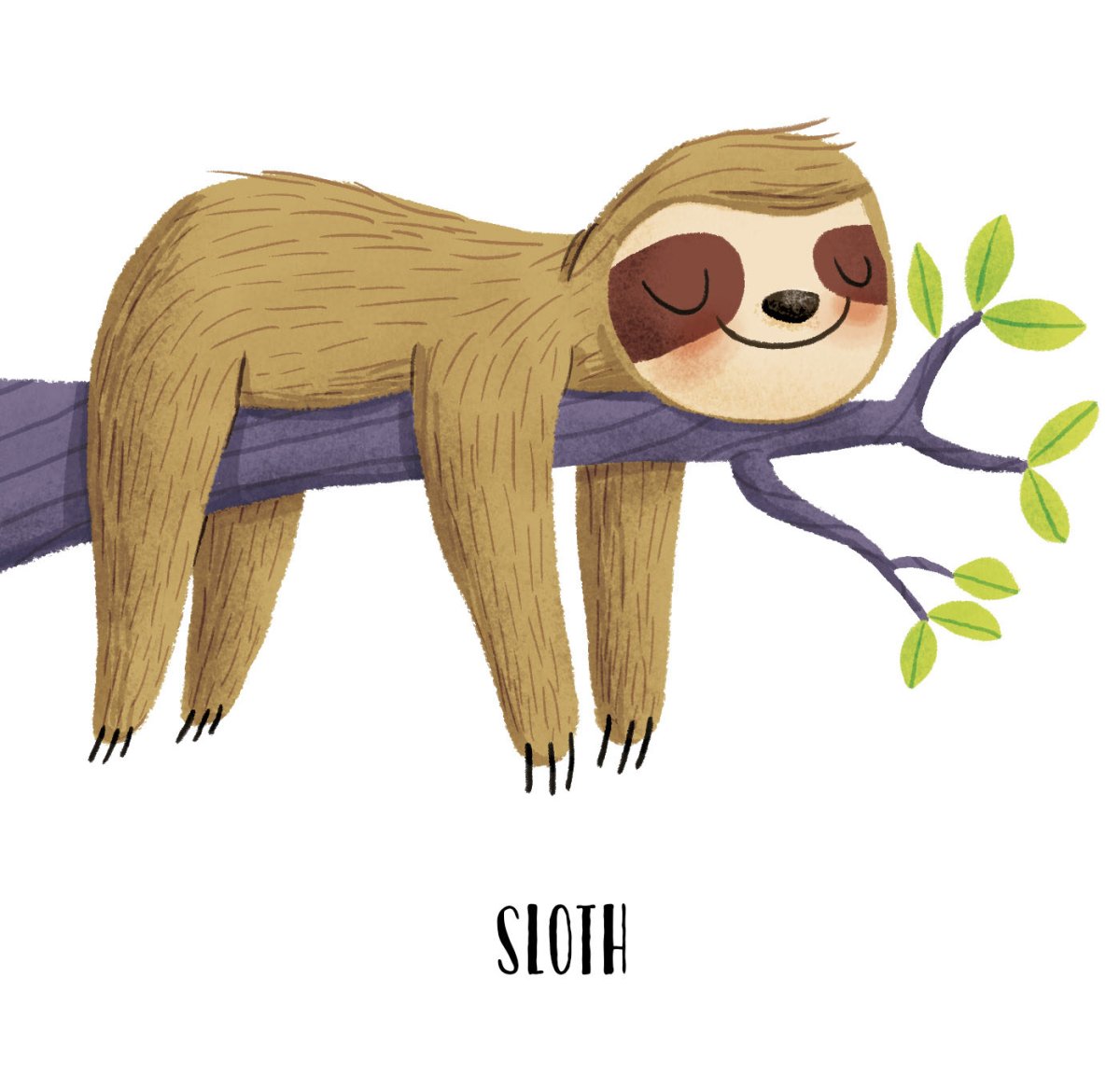 Ленивец рисунок карандашом