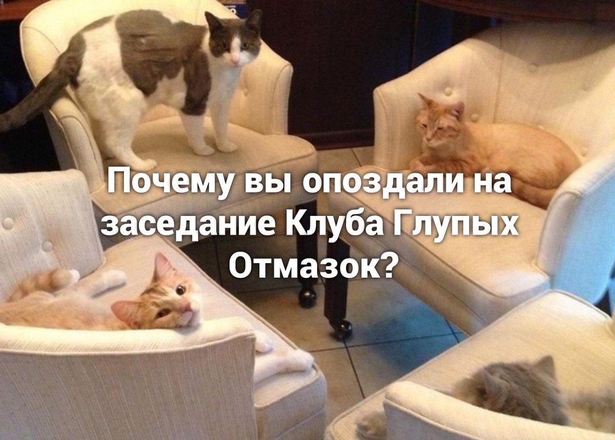 У нас новый председатель общества зануд