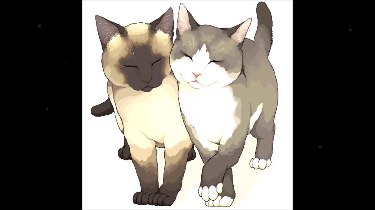 Сиамская кошка аниме