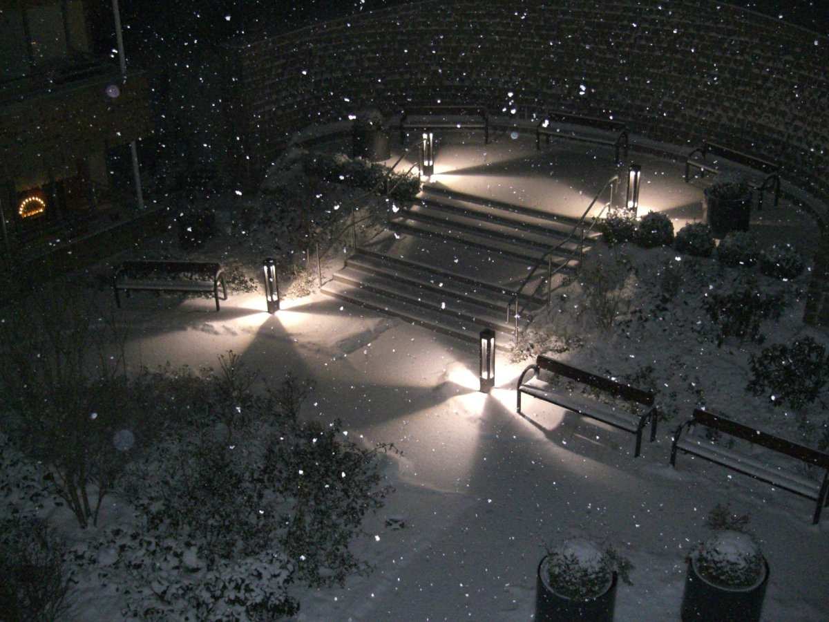 Спокойной зимней ночи