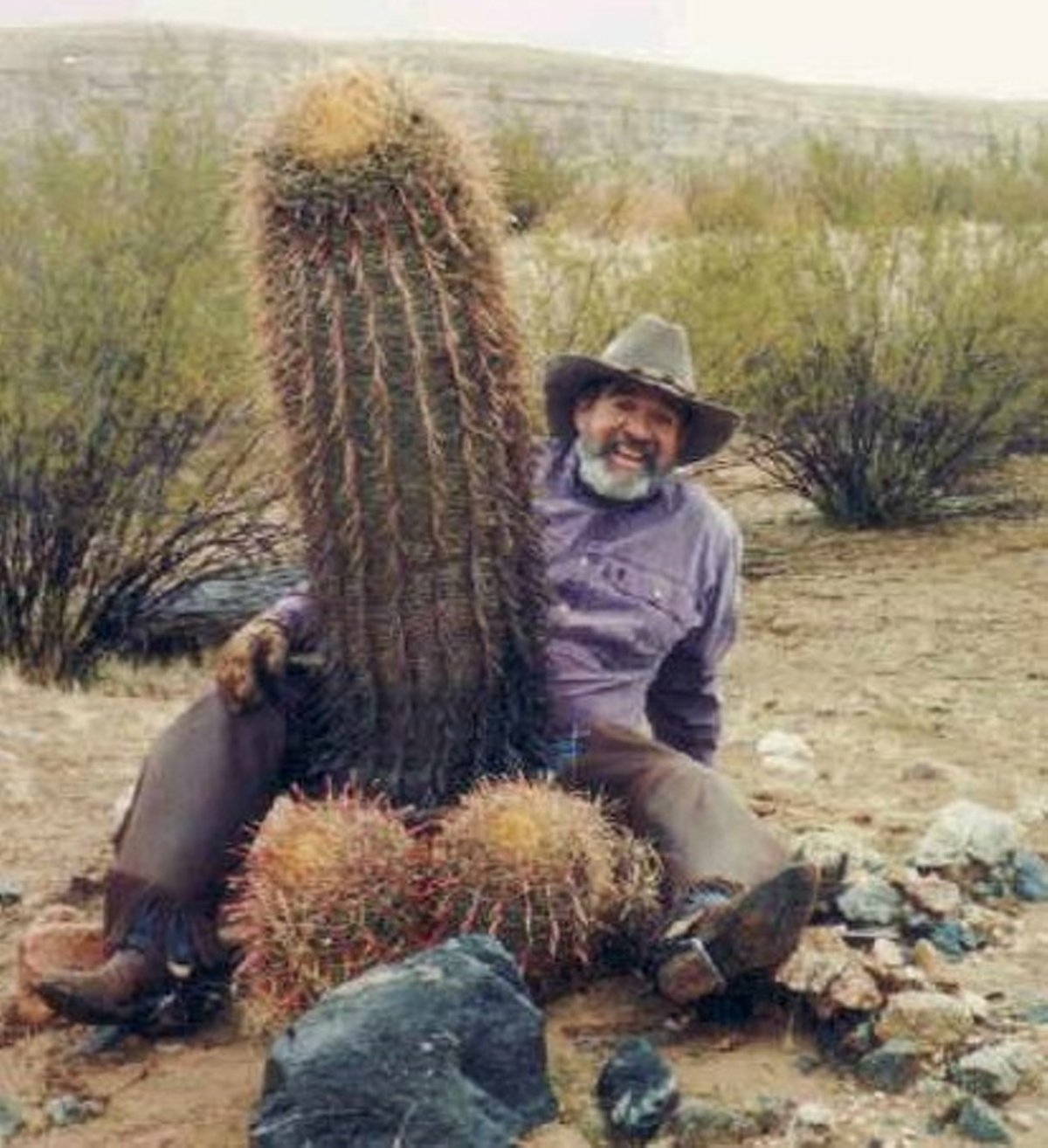 Сел на Кактус