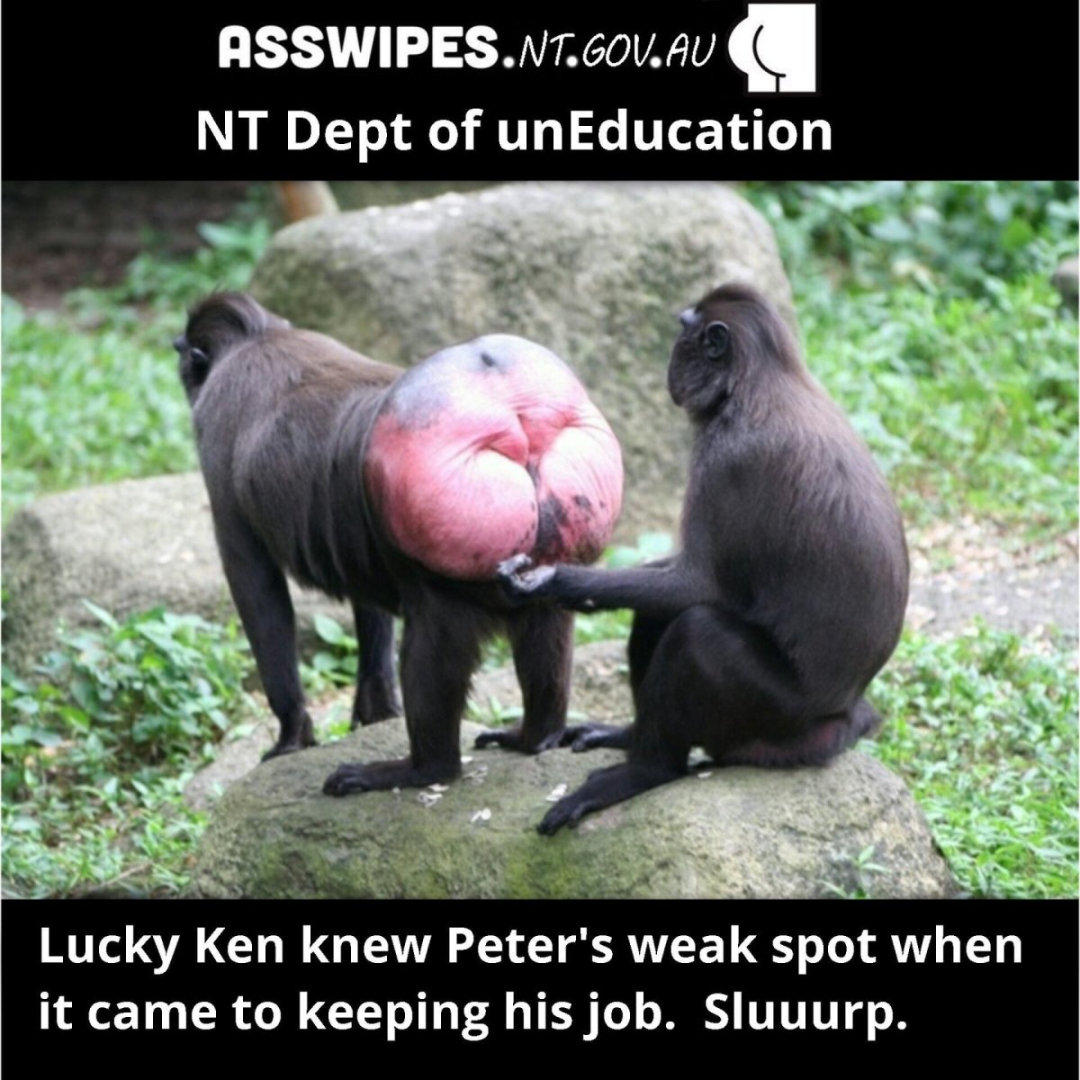 Цитаты про мозги смешные