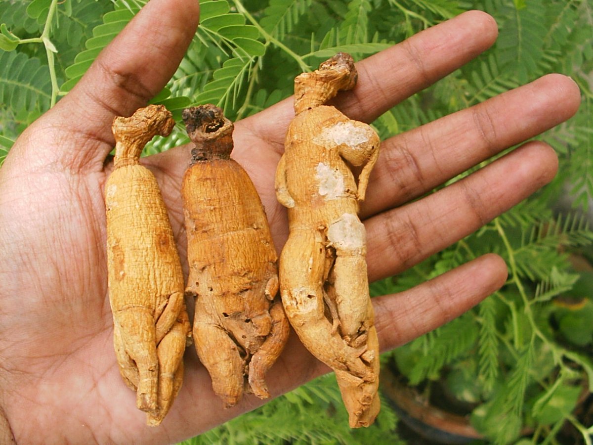 Муж добытчик а жена хранительница очага