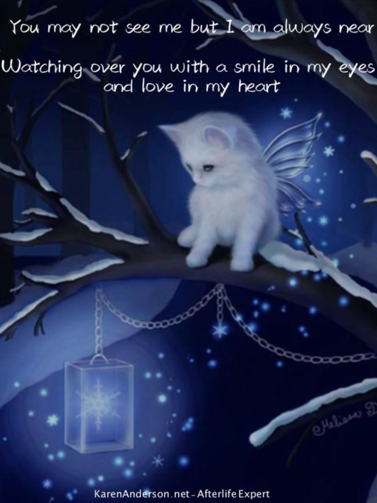 Медвежонок желает спокойной ночи