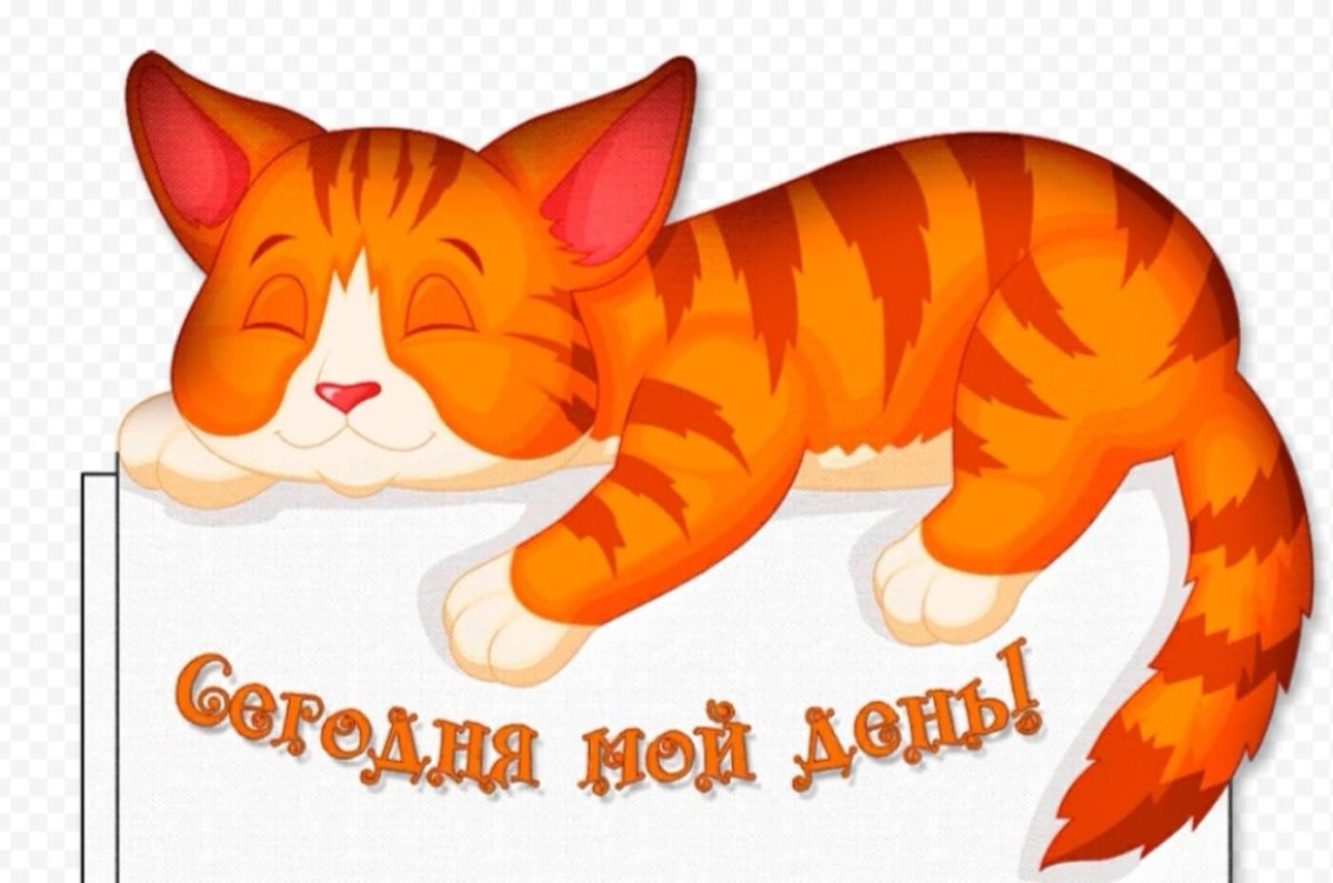 1 Марта Всемирный день кошек