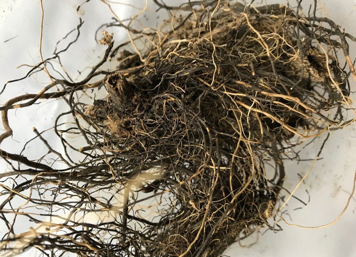 Поступки человека