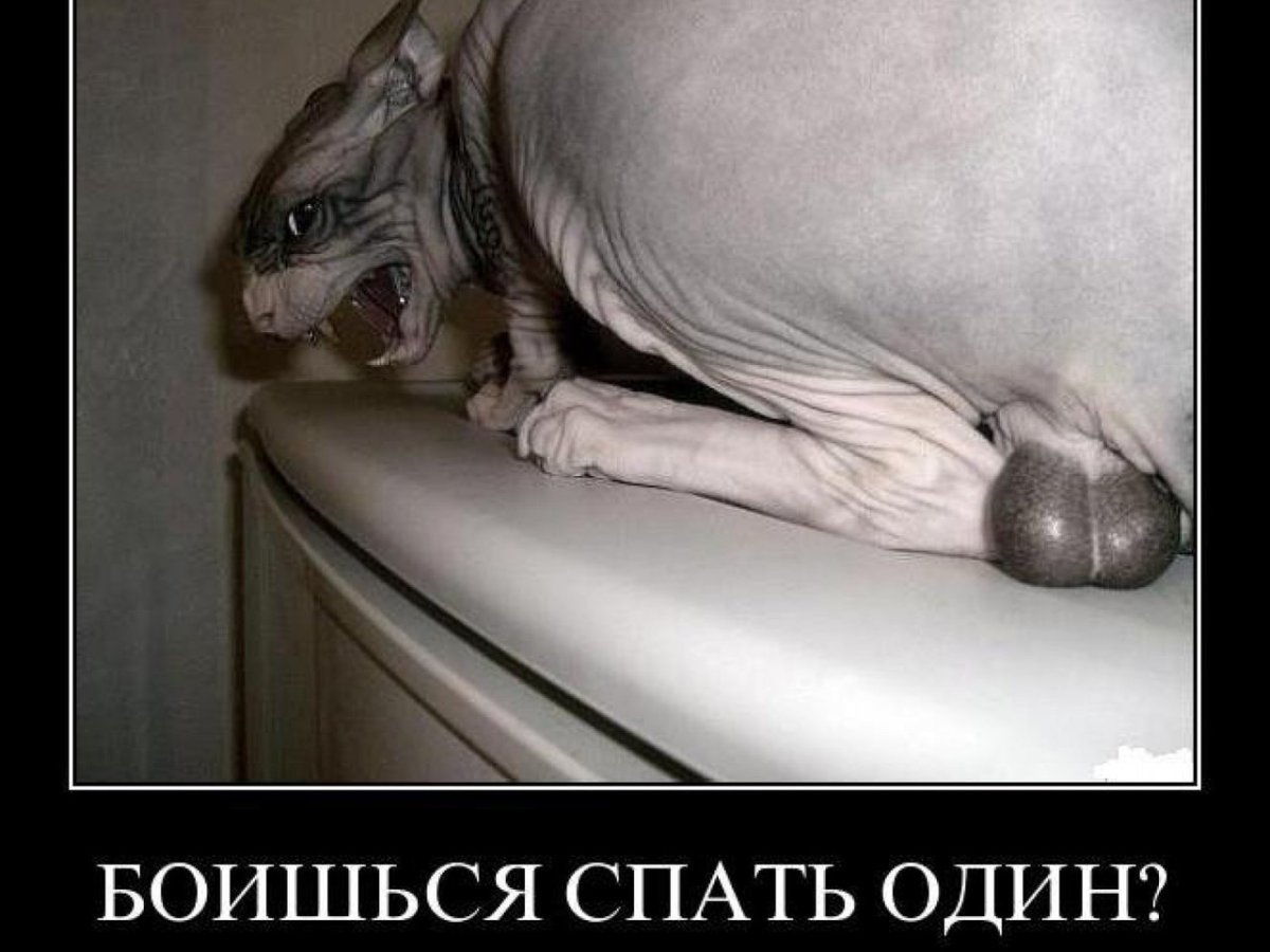 Корни грецкого ореха