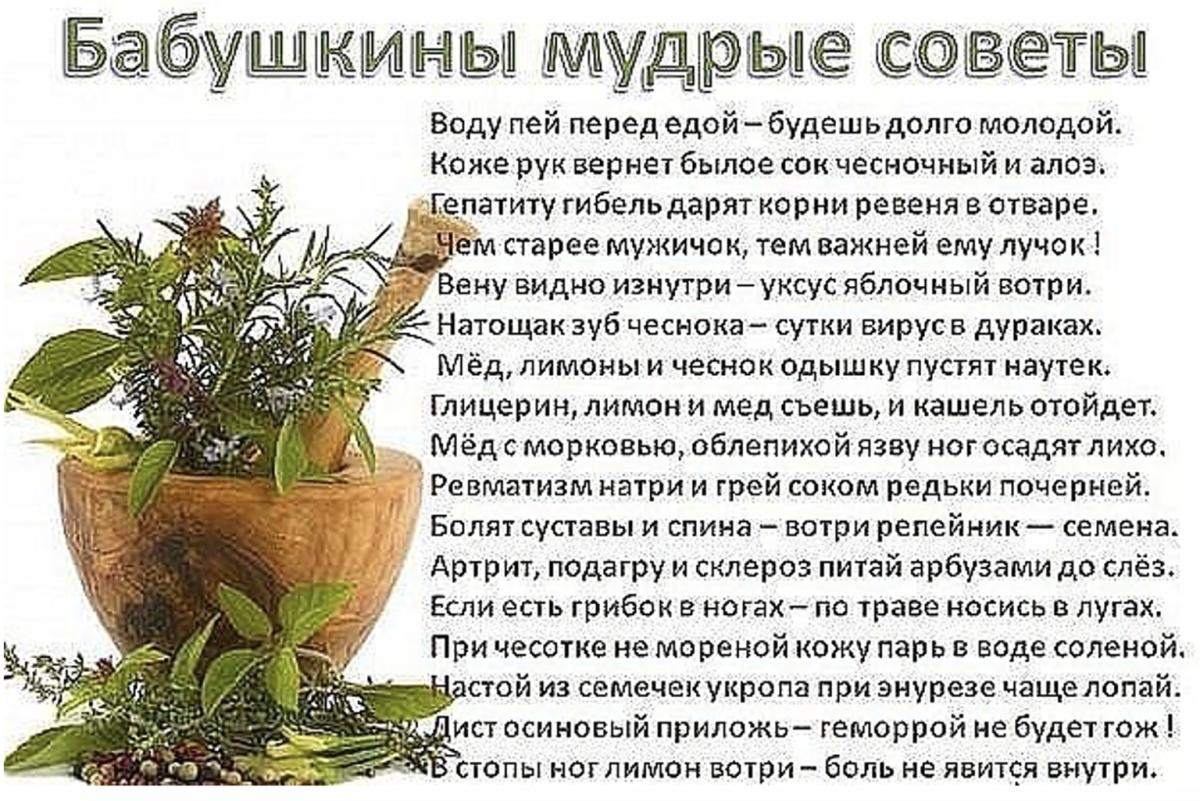 Демотиватор Кактус