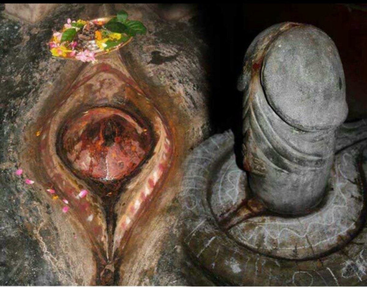 Маралий корень корень