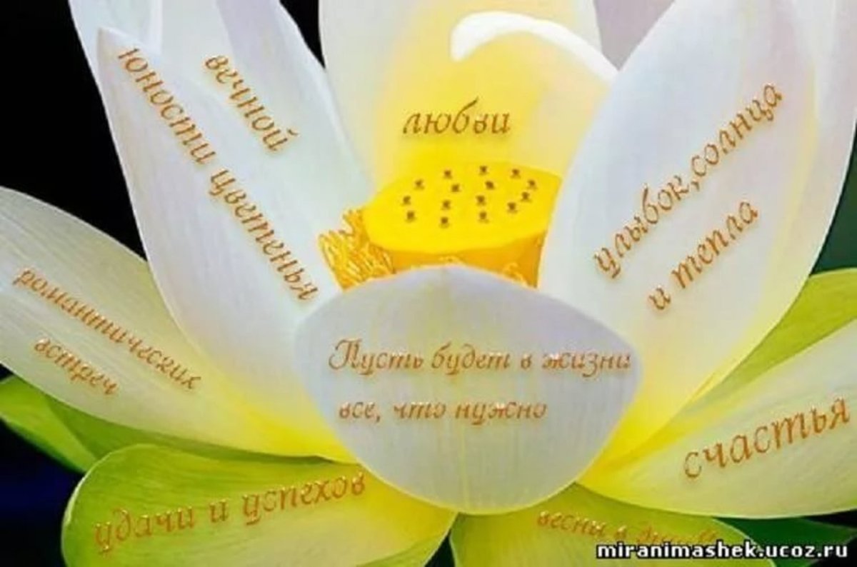 Счастья и гармонии пожелания