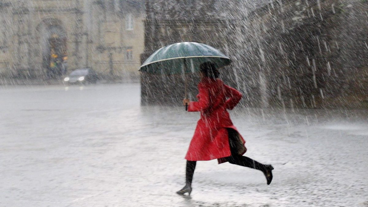 Последний день осени дождь