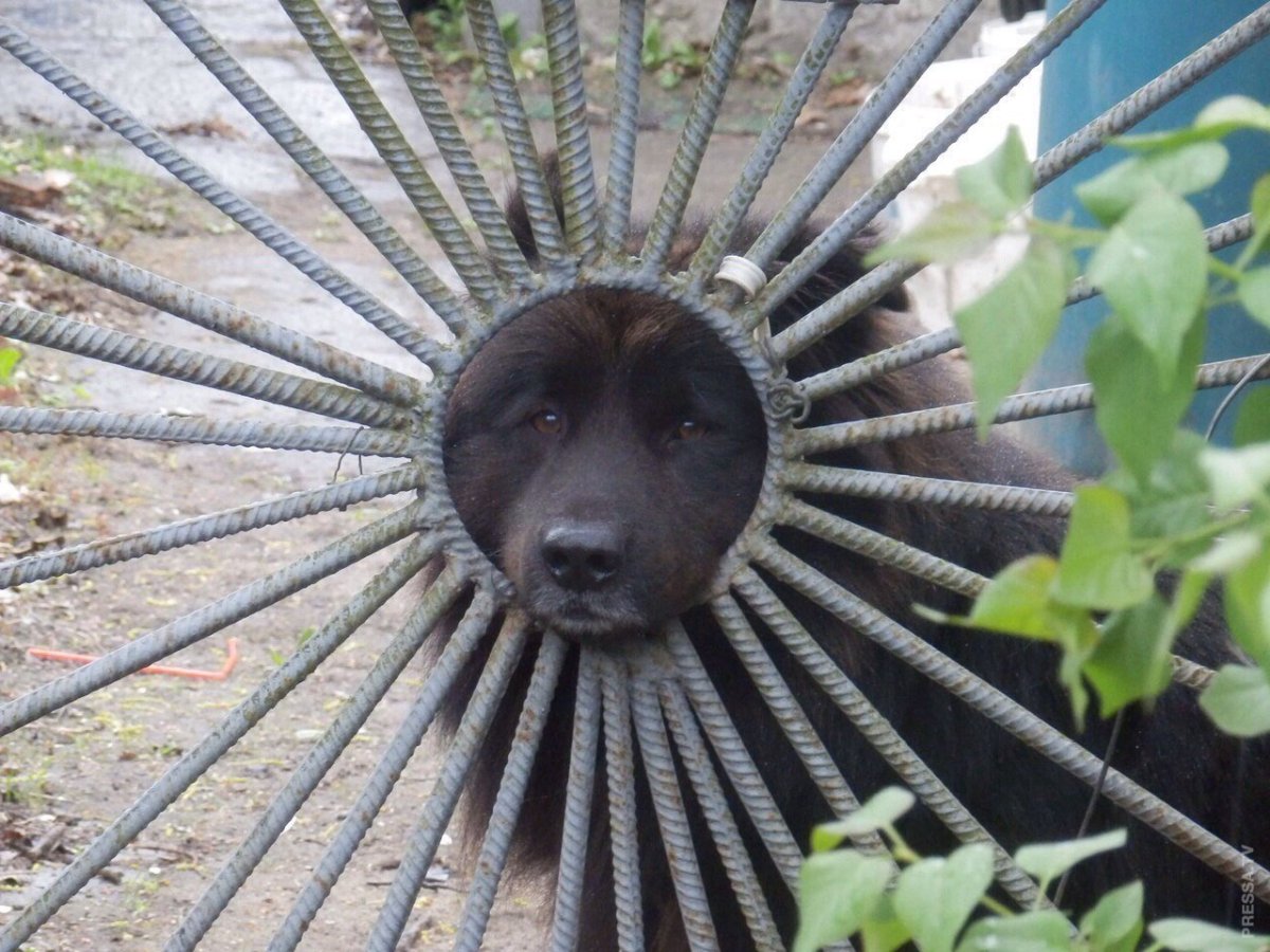 Аватарки позитивные