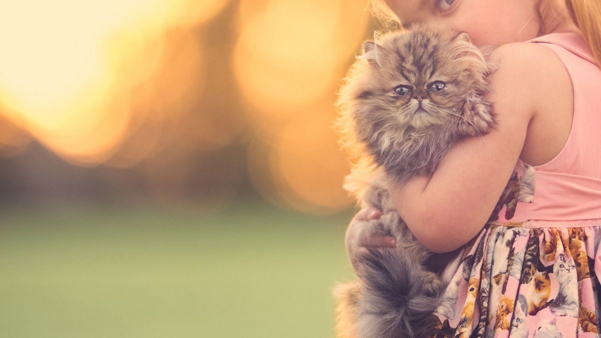 Художница Sandra Kuck