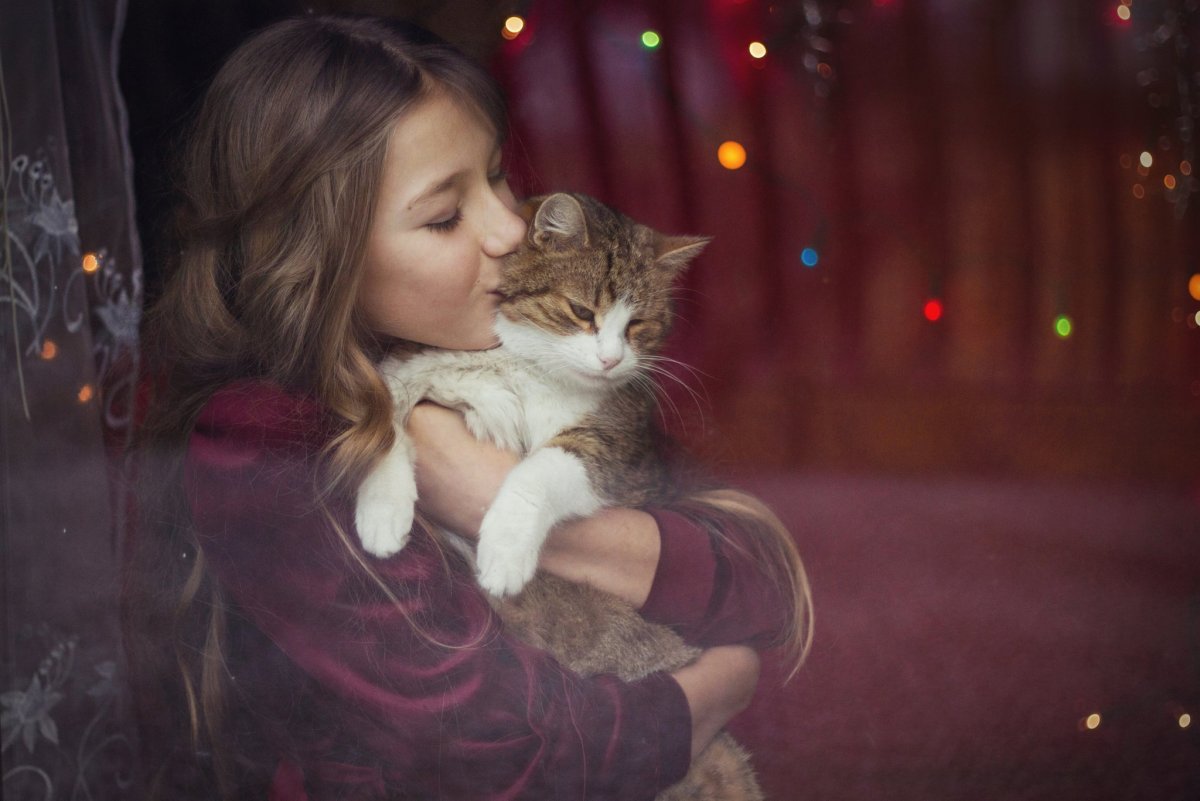 Девушка с котом