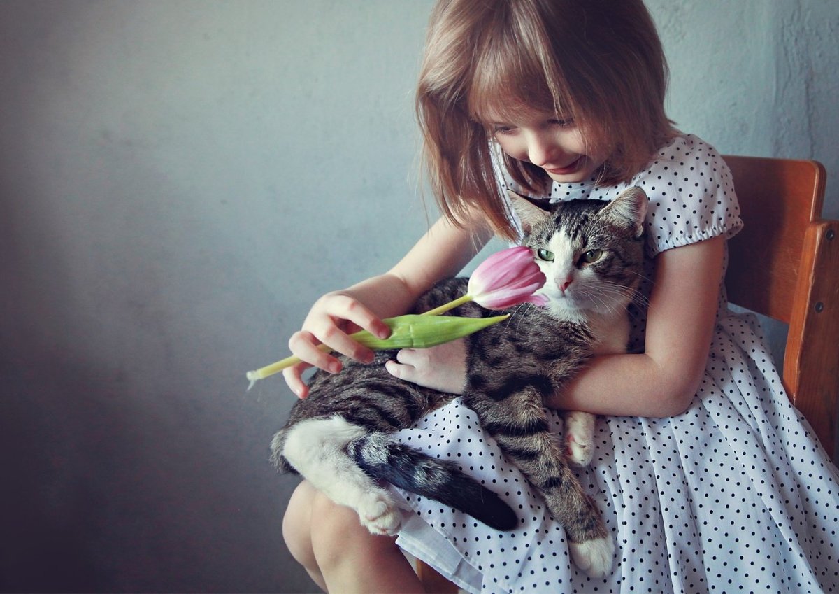 Девочка с котятами