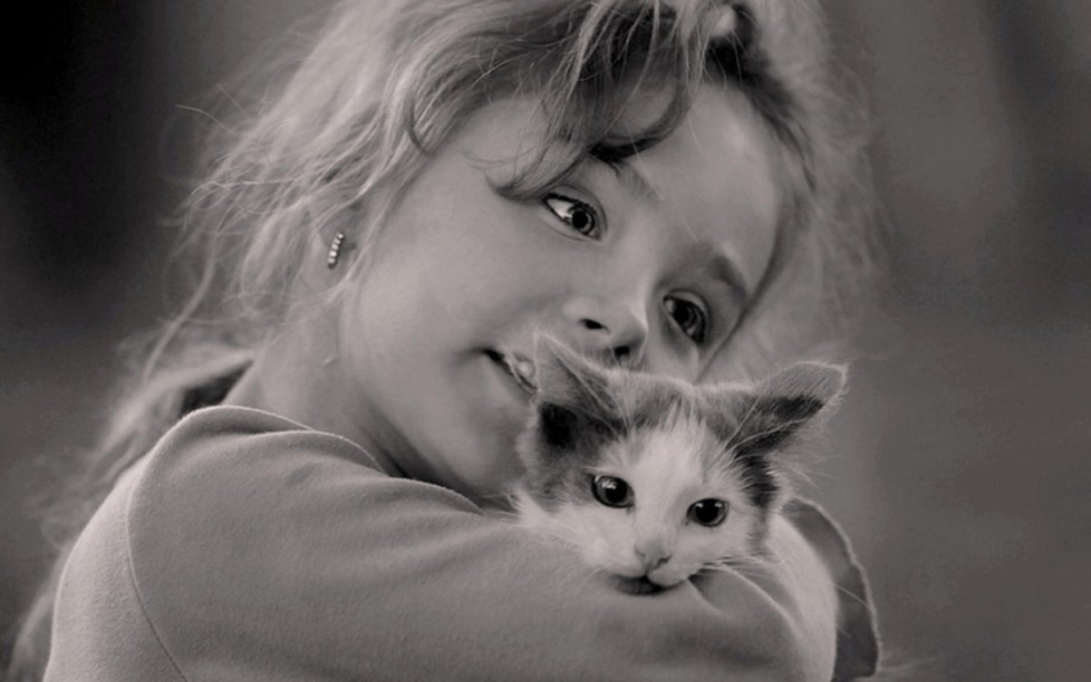 Девочка с котятами