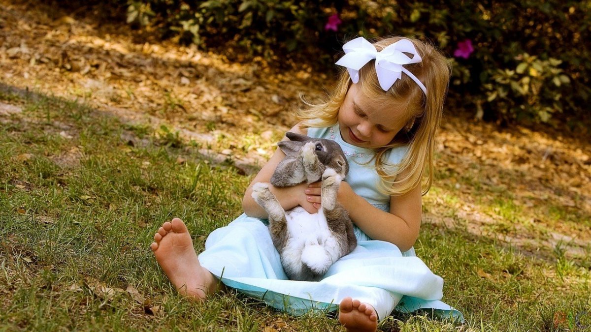 Для детей. Животные