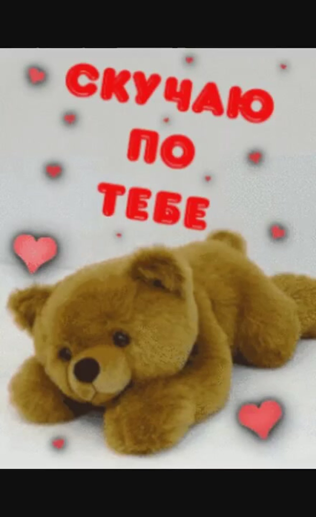 Скучающий мишка