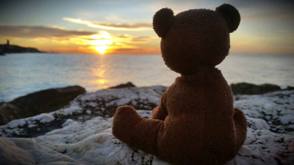 Медведь скучает