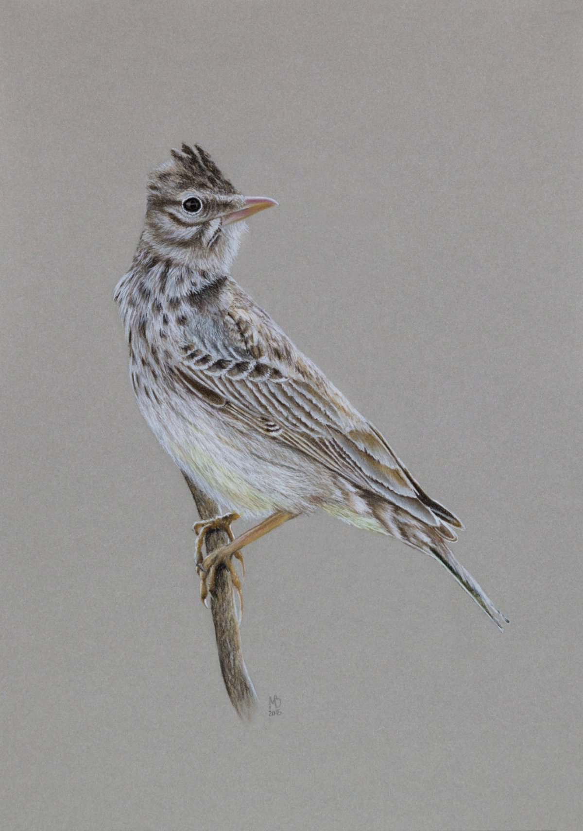 Стилизованный Жаворонок